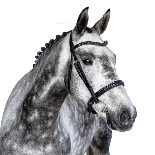 Snaffle Bridle - Calvyn