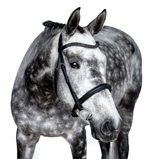 Snaffle Bridle - Selaro