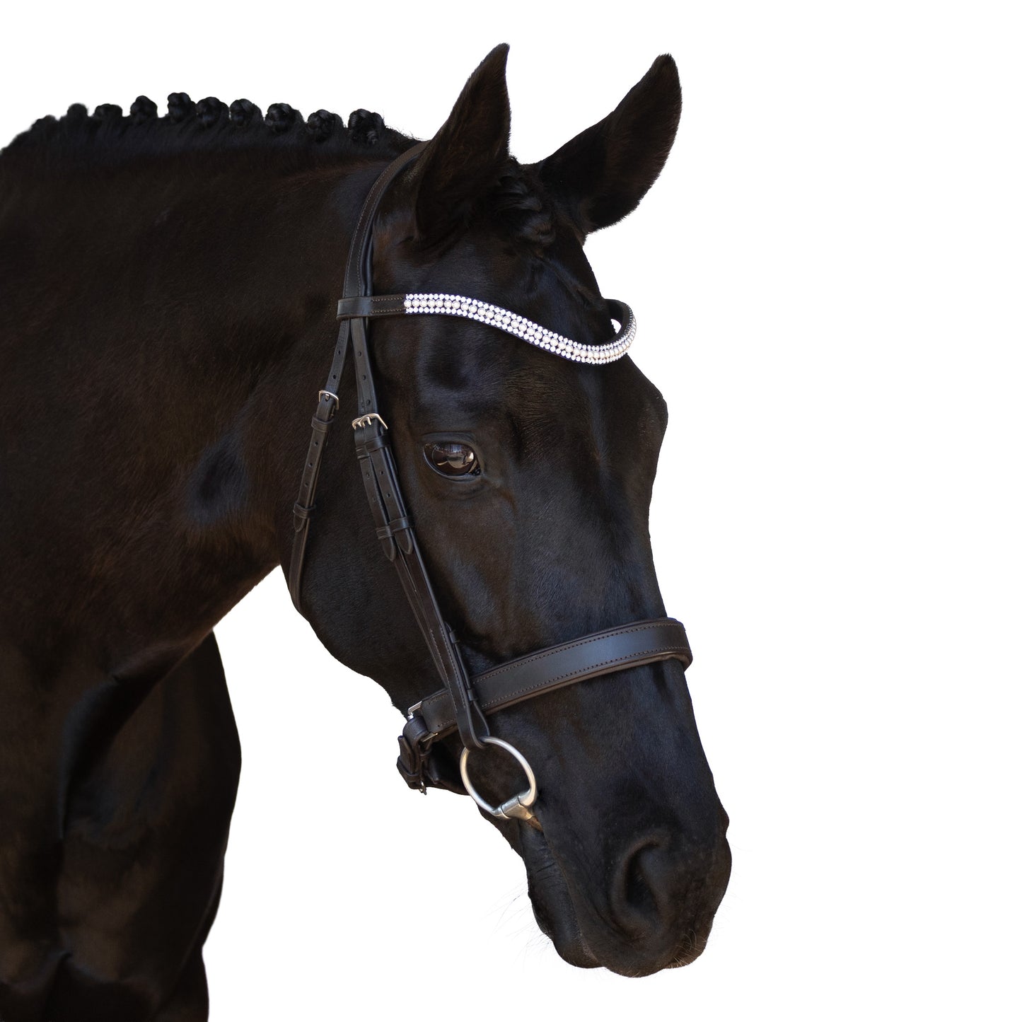 Snaffle Bridle - Korvex