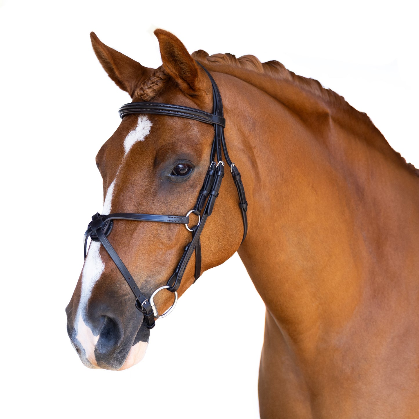 Snaffle Bridle - Cavon