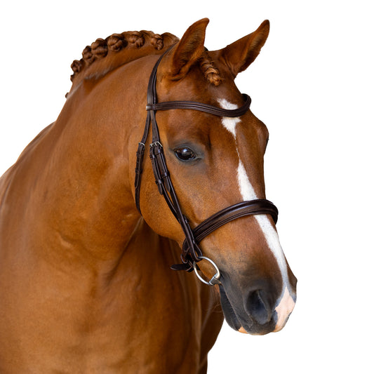 Snaffle Bridle - Etrin