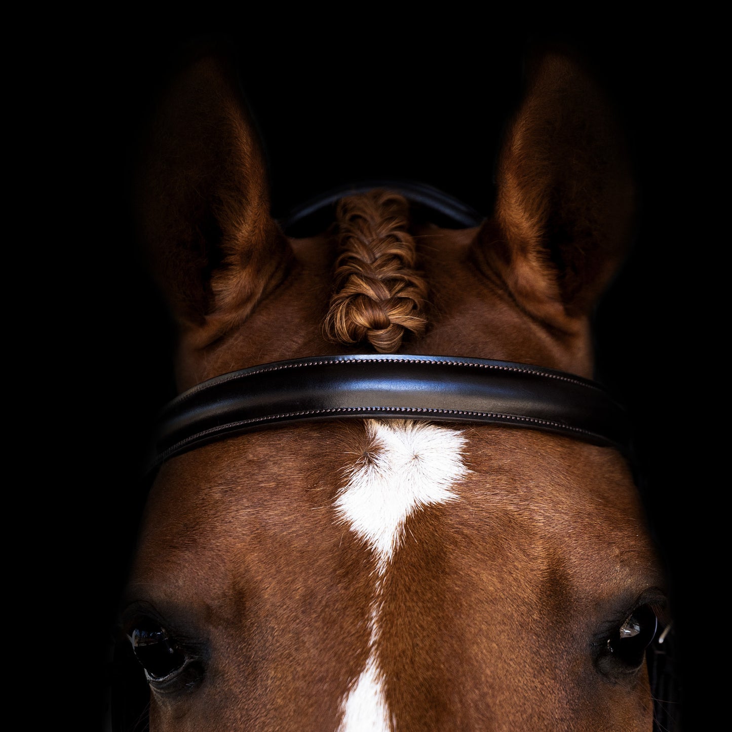 Browband - ICONIC - Show Raised - Brown