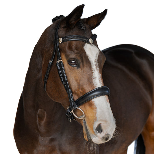 Snaffle Bridle - Cavelle
