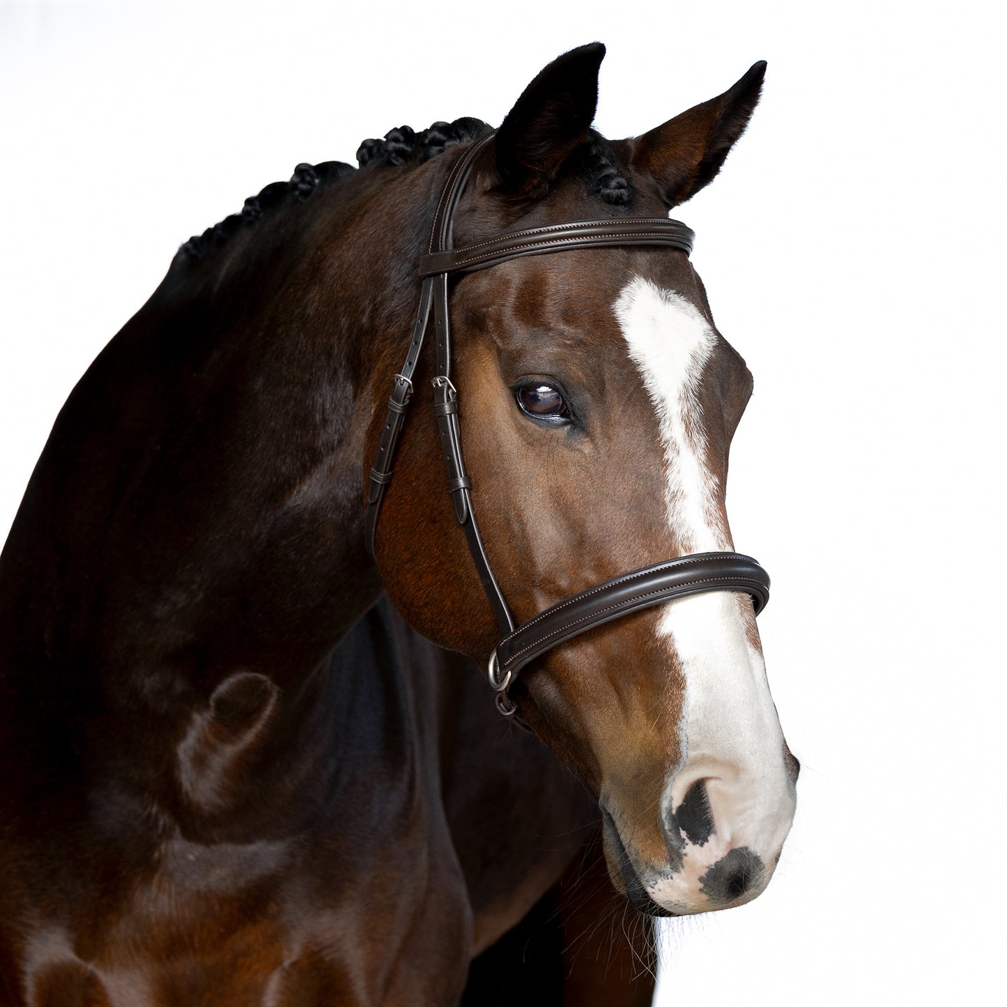 Bitless Bridle - Tressia