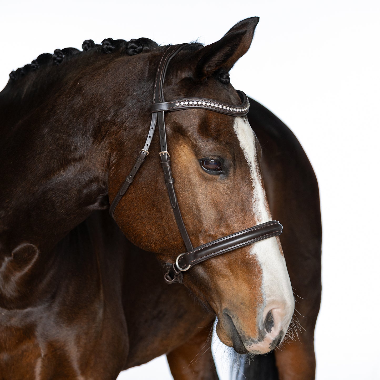 Bitless Bridle - Brivon
