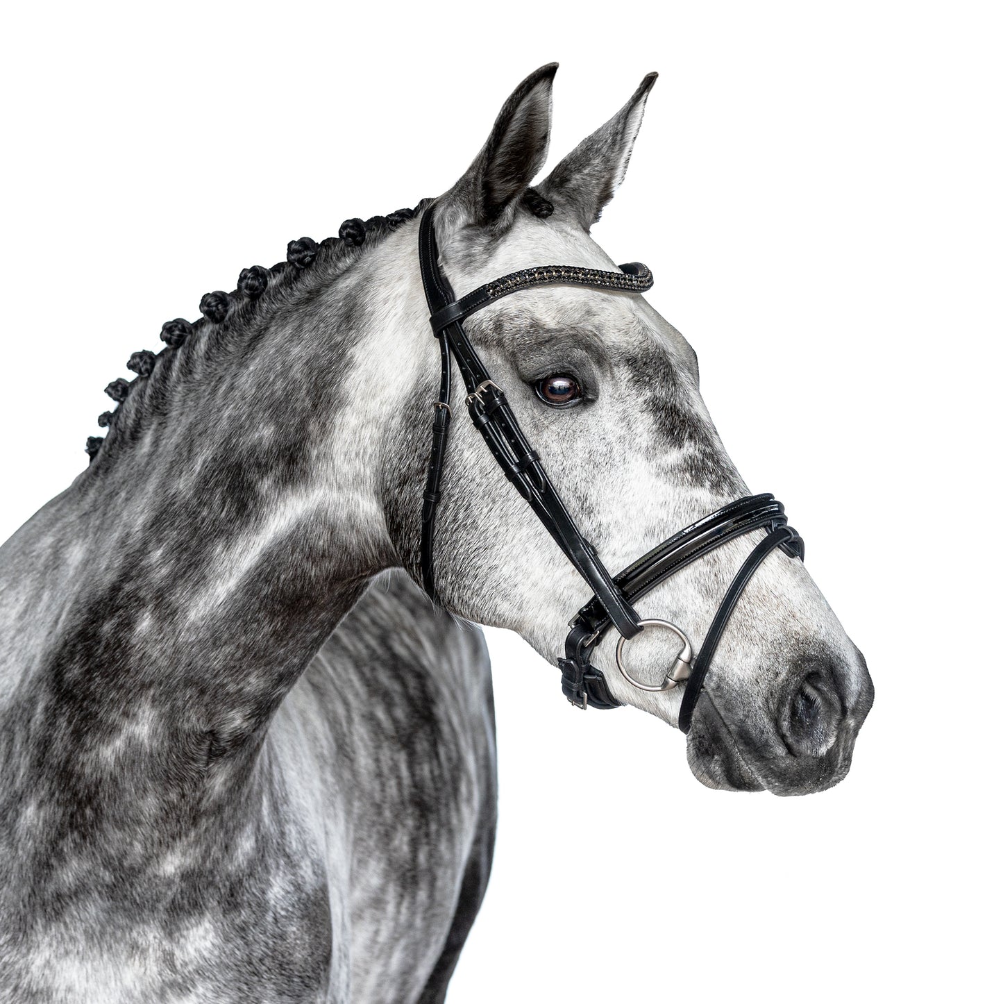 Snaffle Bridle - Calvyn