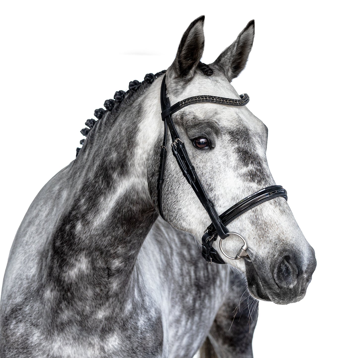 Snaffle Bridle - Calvyn