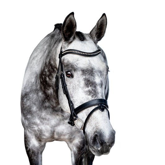 Snaffle Bridle - Virex