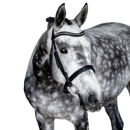 Snaffle Bridle - Virex