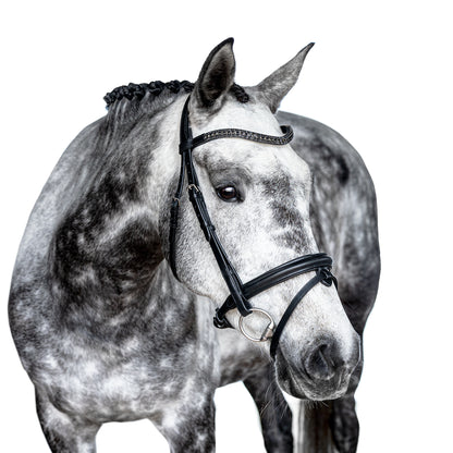 Snaffle Bridle - Selaro