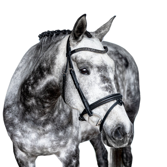 Snaffle Bridle - Selaro