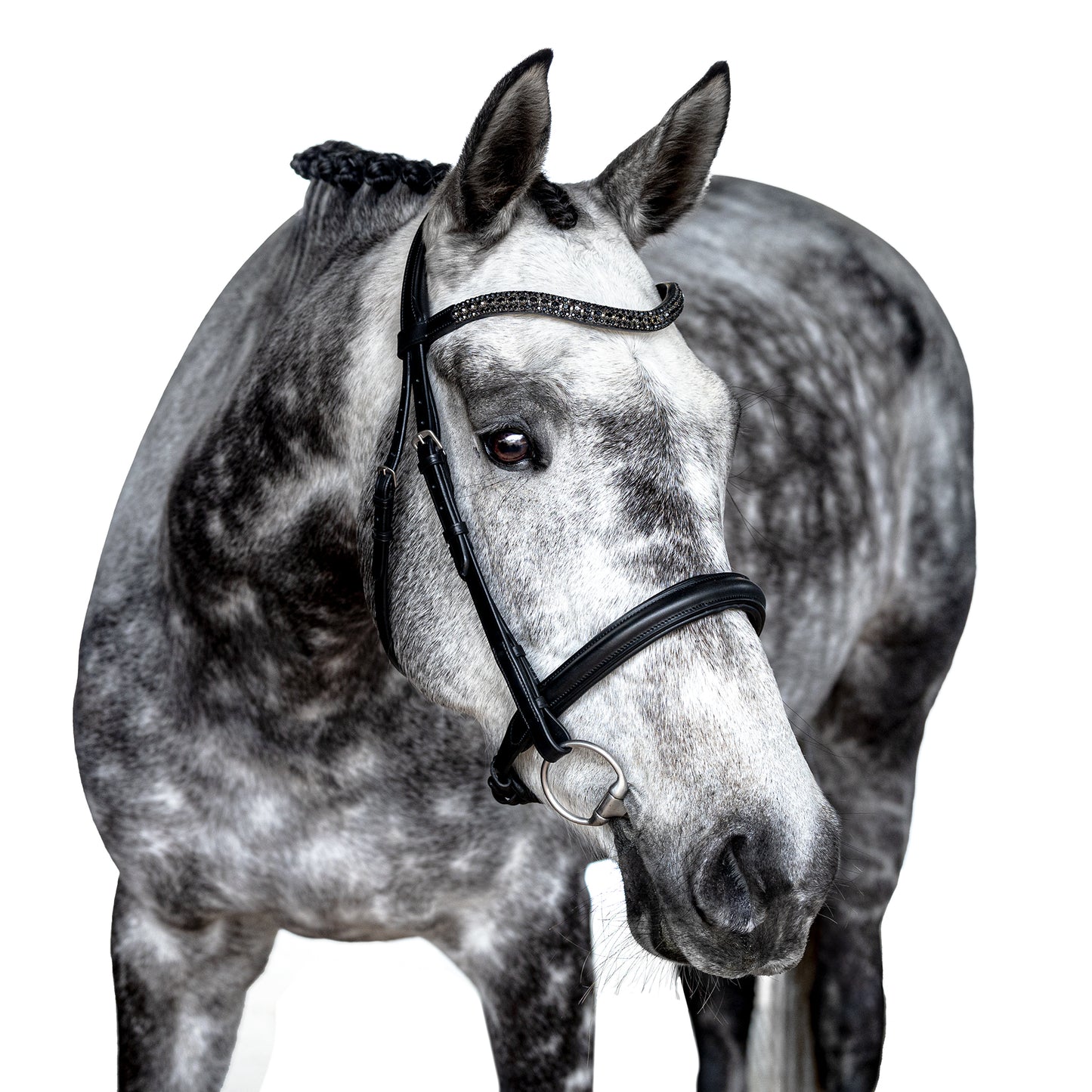 Snaffle Bridle - Selaro