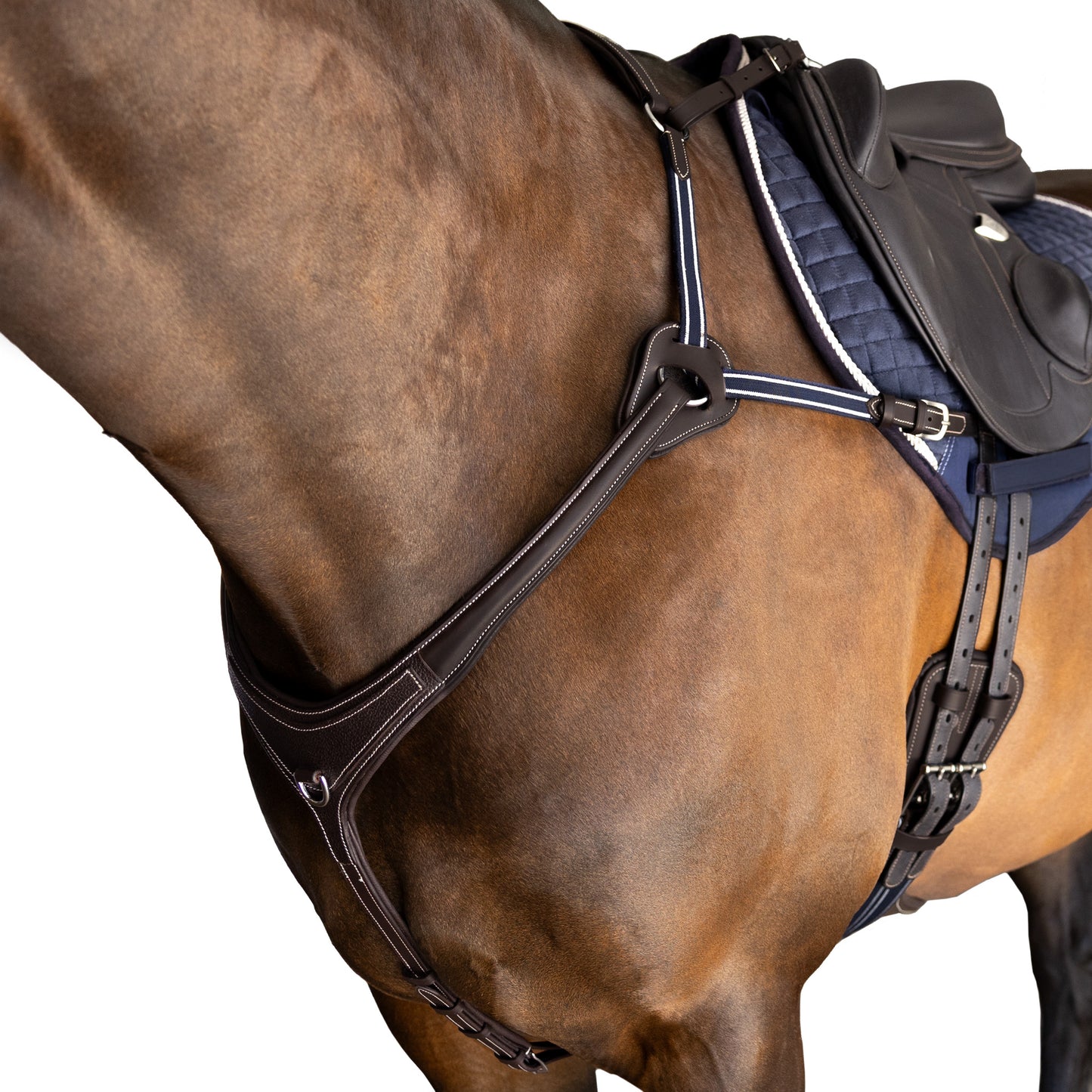 Breastplate - 5 Point Gel Padded Leather