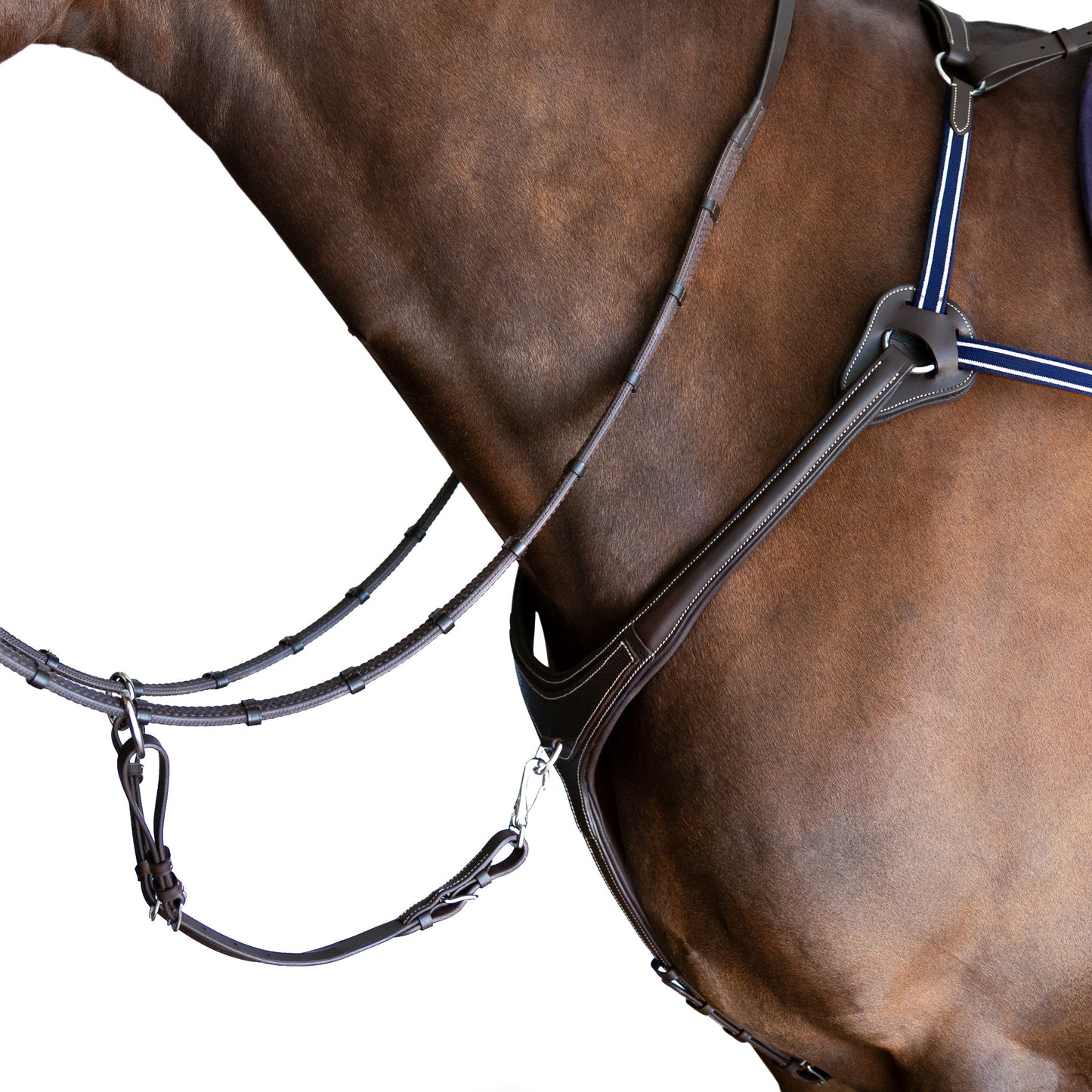 Breastplate - 5 Point Gel Padded Leather