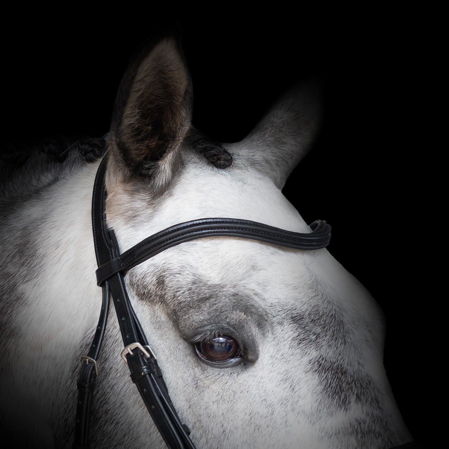 Browband - NOBLE - Raised Wave - Black