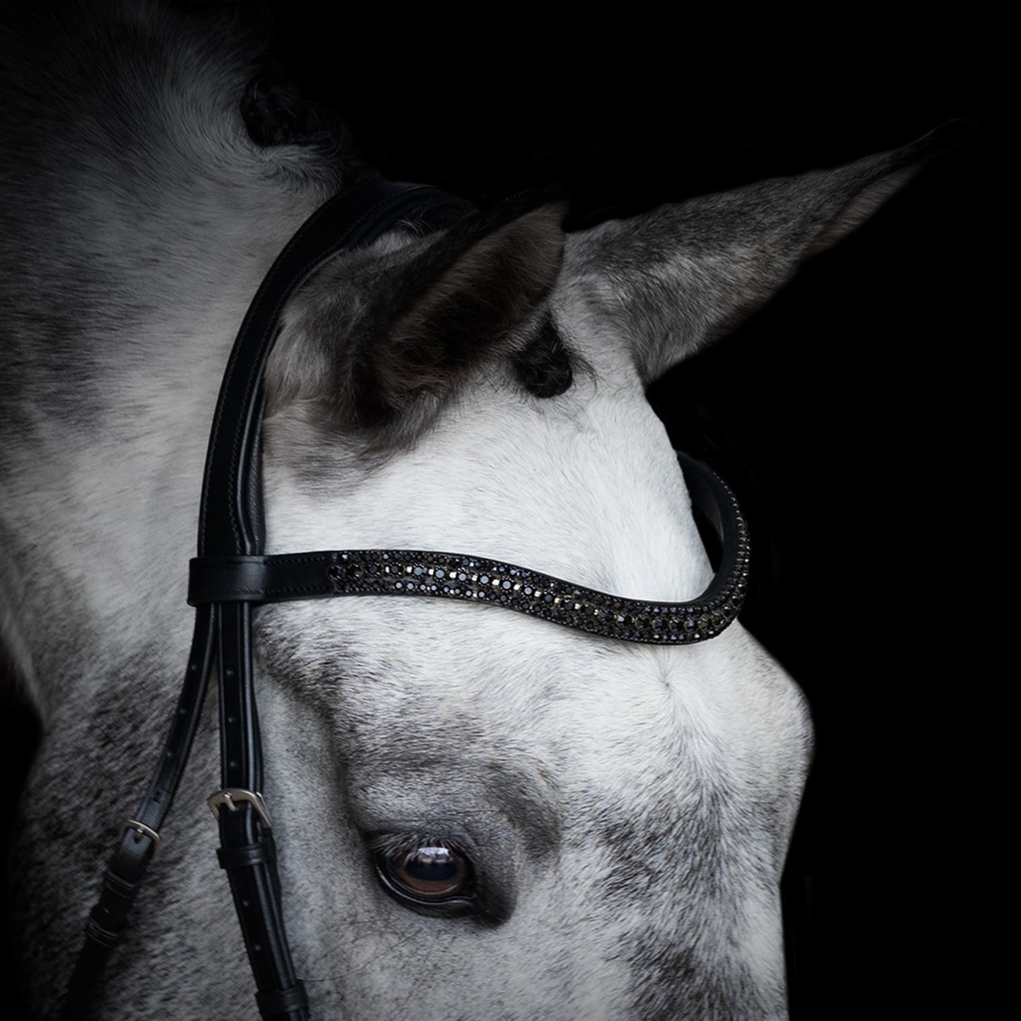 Browband - SHIMMER - Black Crystal - Black