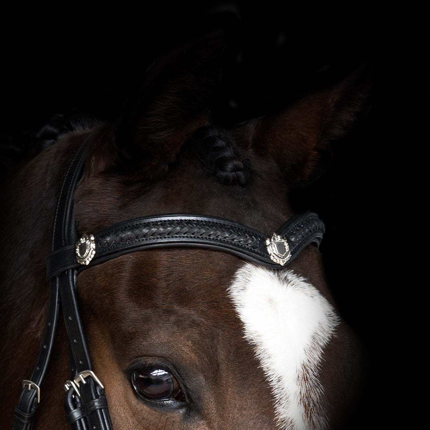 Browband - LEGACY - Plaited - Black