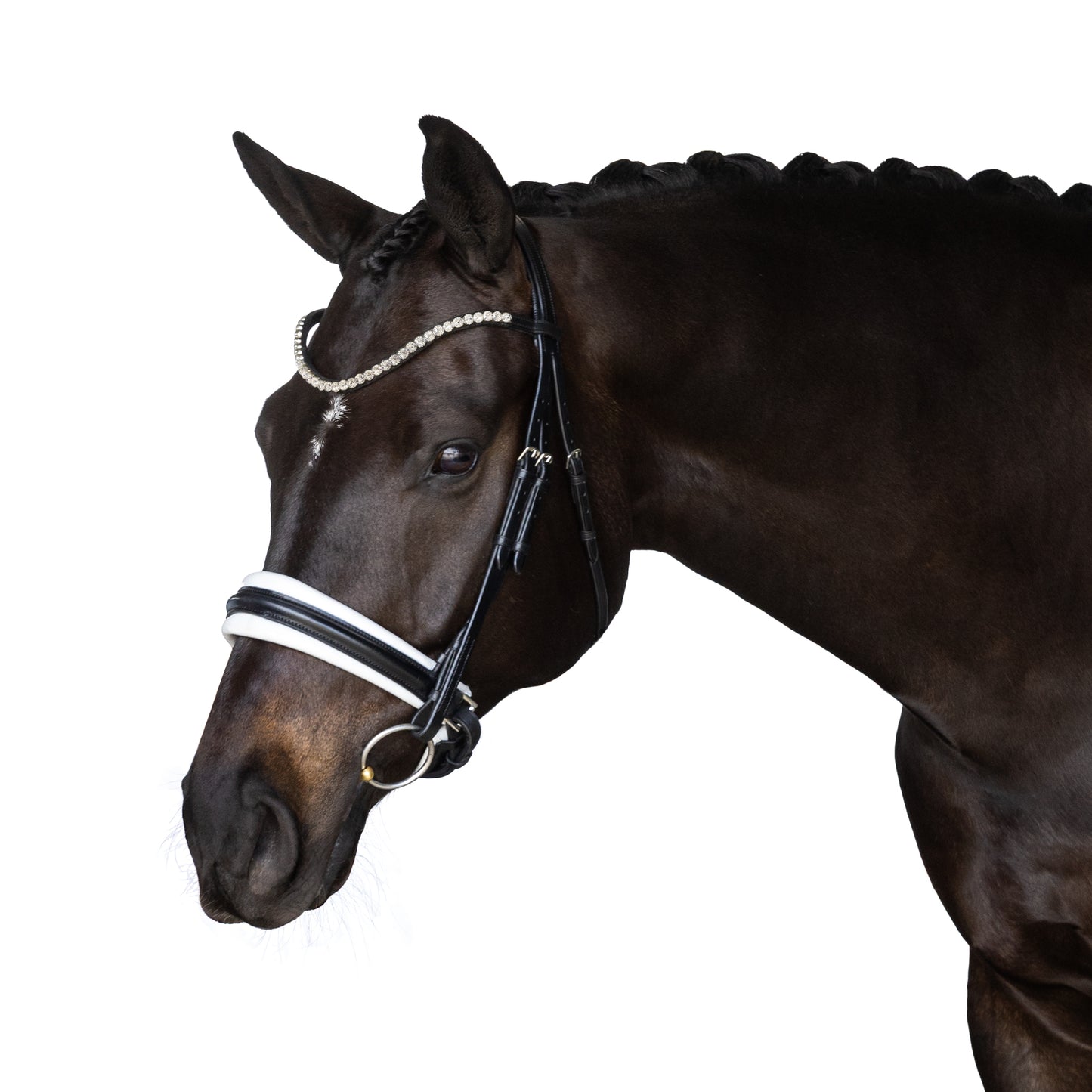 Snaffle Bridle - Cenvra