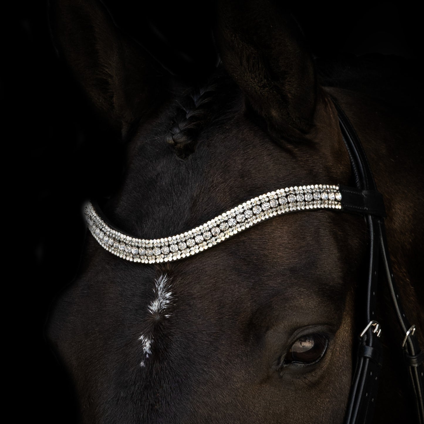 Browband - GLEAM - Clear Crystal - Black