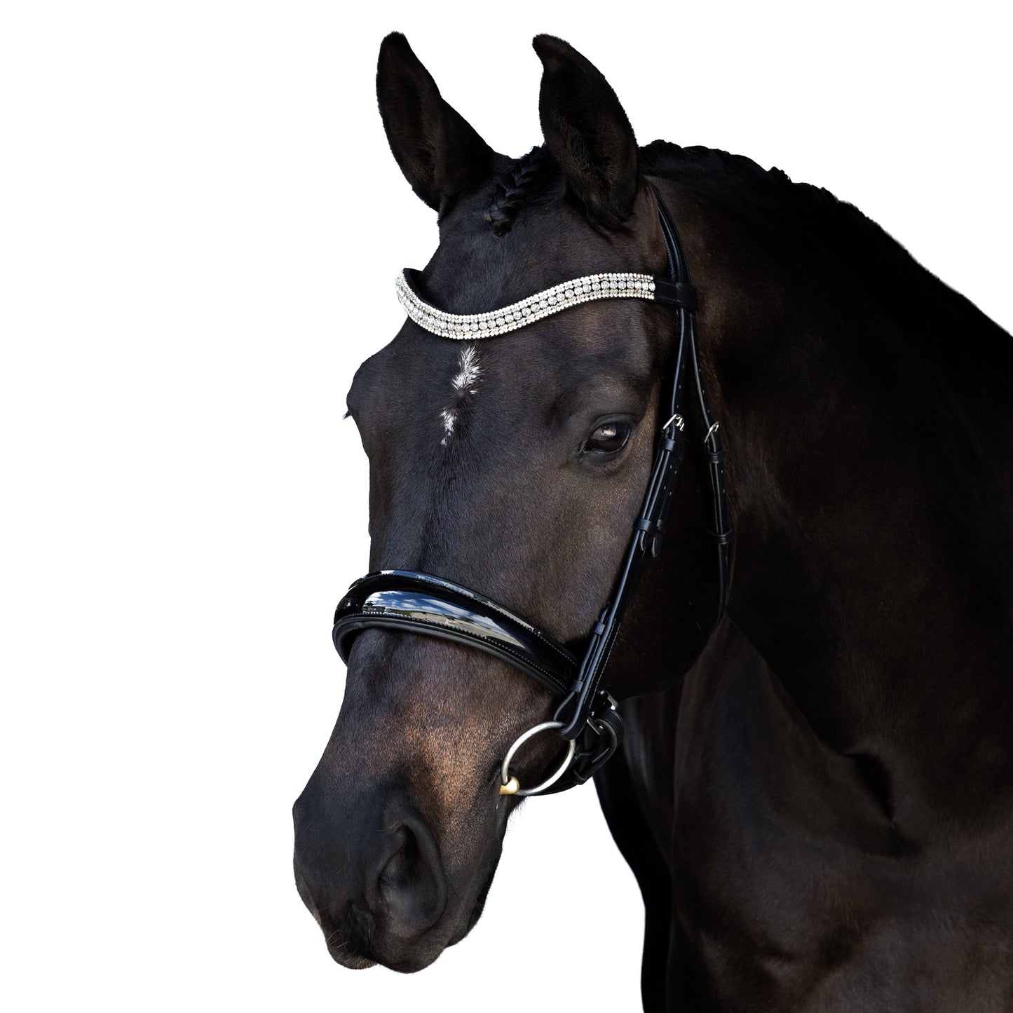 Snaffle Bridle - Serix