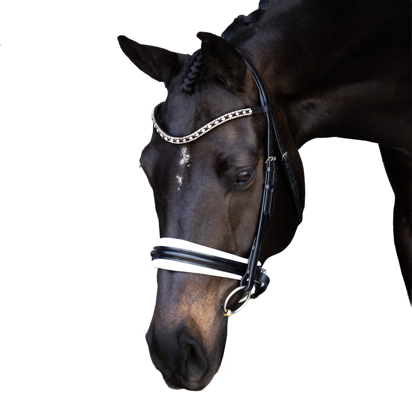 Snaffle Bridle - Valtrix