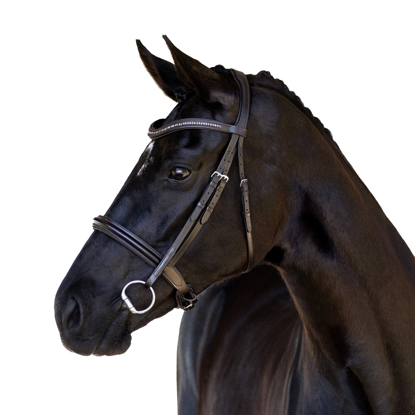 Snaffle Bridle - Osenna