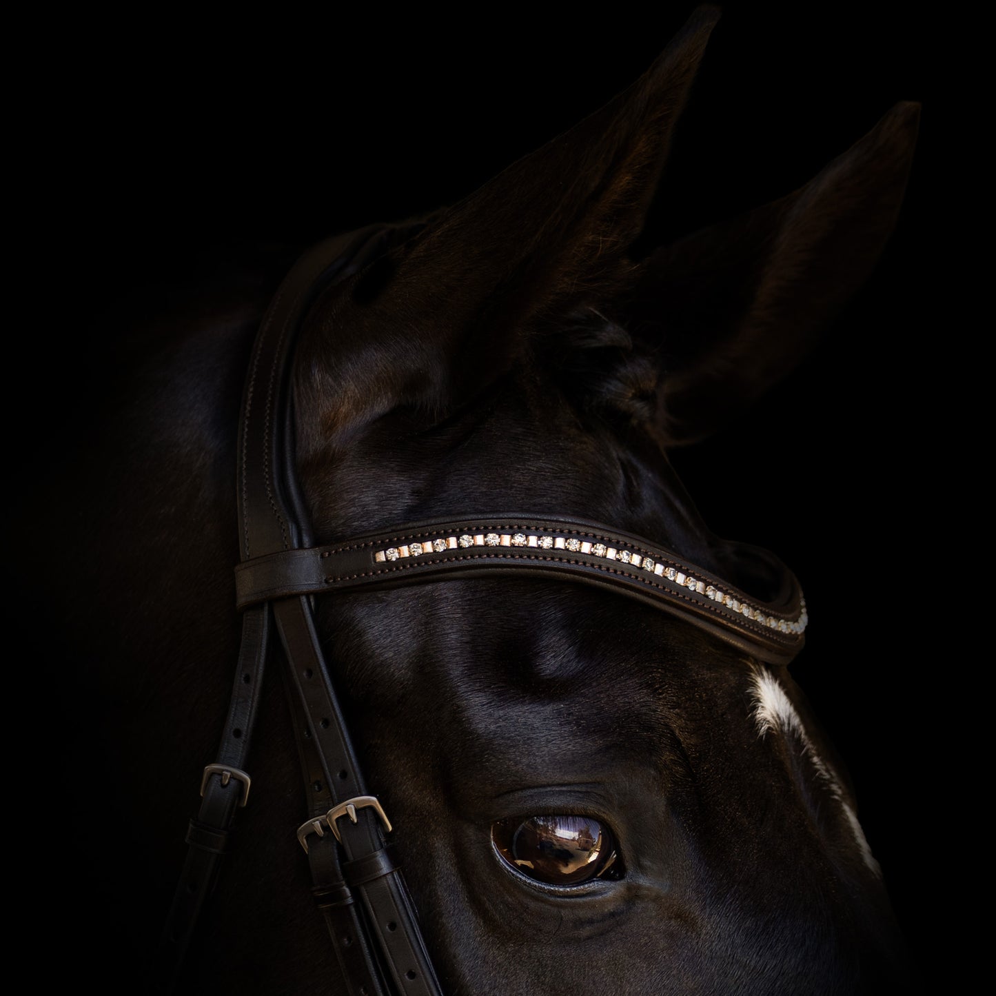 Browband - HERITAGE - Mini Clincher - Brown
