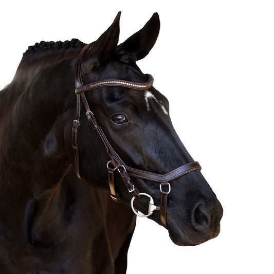 Snaffle Comfort Bridle - Talori