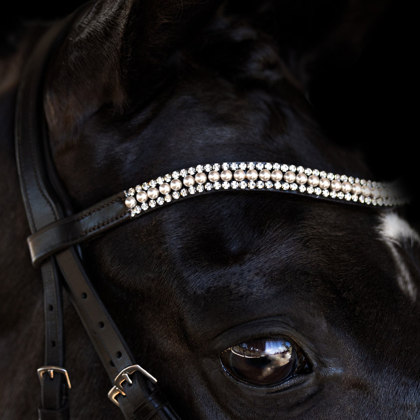 Browband - GLOSS - White Pearl and Clear Crystal - Brown