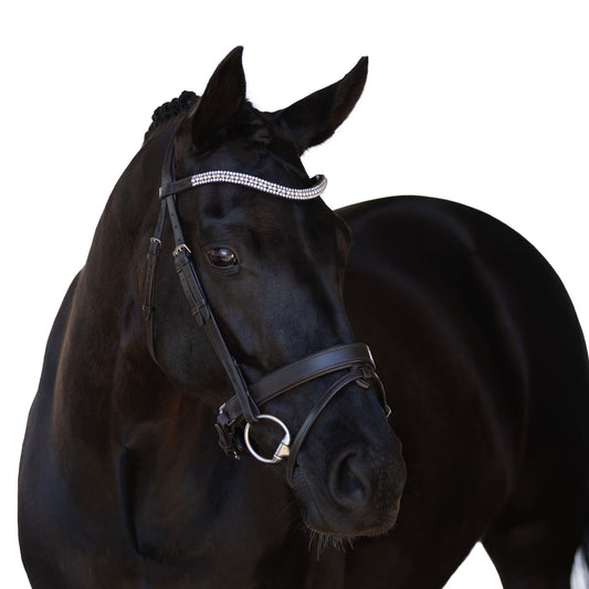 Snaffle Bridle - Korvex