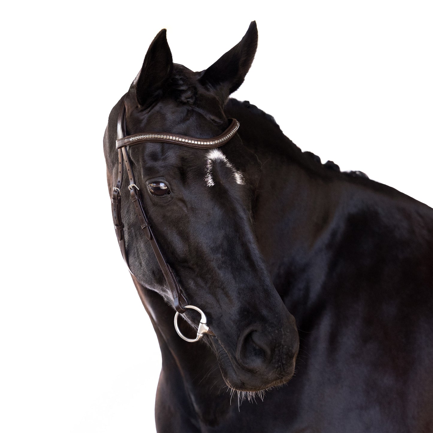 Snaffle Nosebandless Bridle - Calra