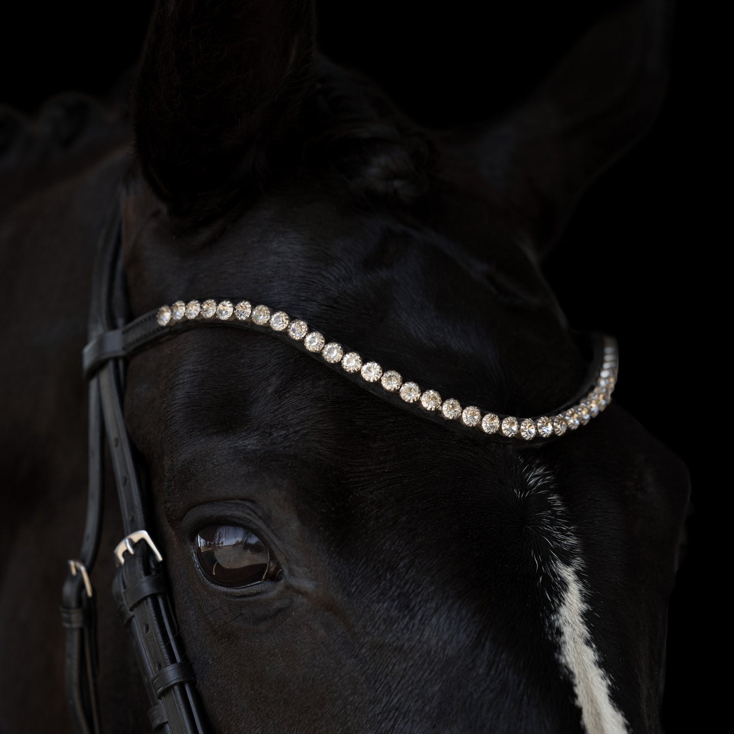 Browband - HALO - Clear Crystal - Black