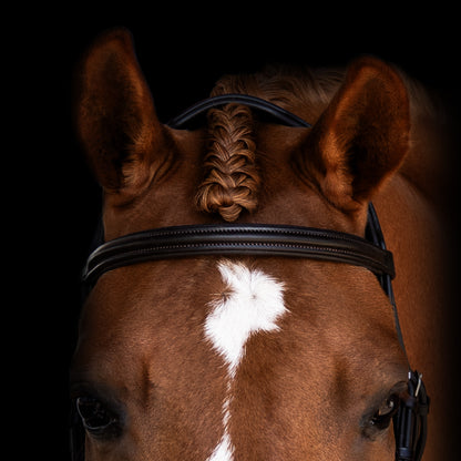 Browband - NOBLE - Raised Straight - Brown
