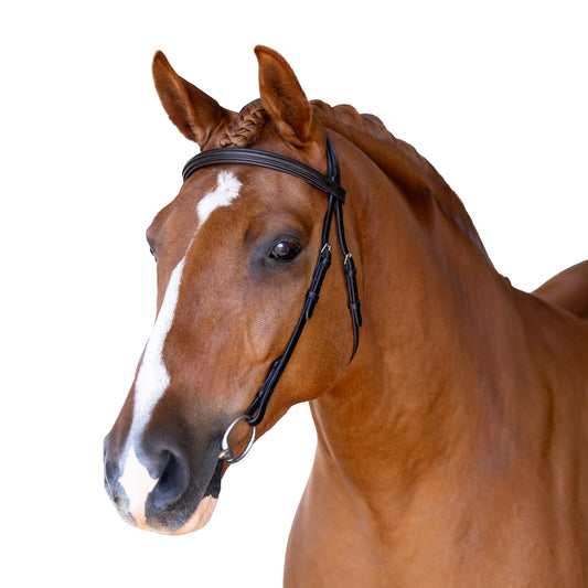 Snaffle Nosebandless Bridle - Avara