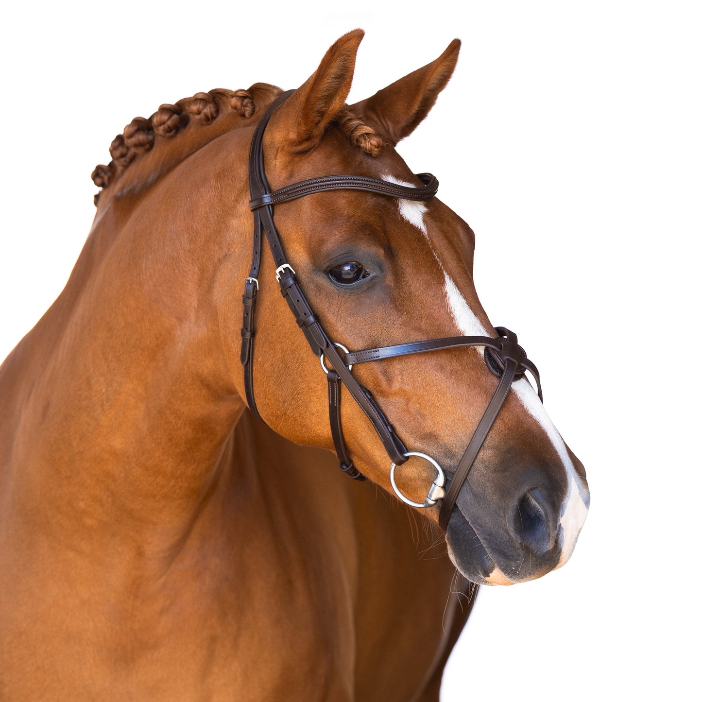 Snaffle Bridle - Kalen