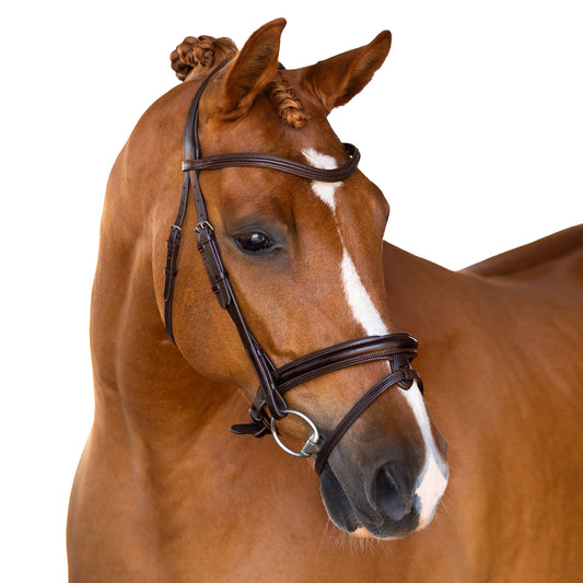 Snaffle Bridle - Etrin