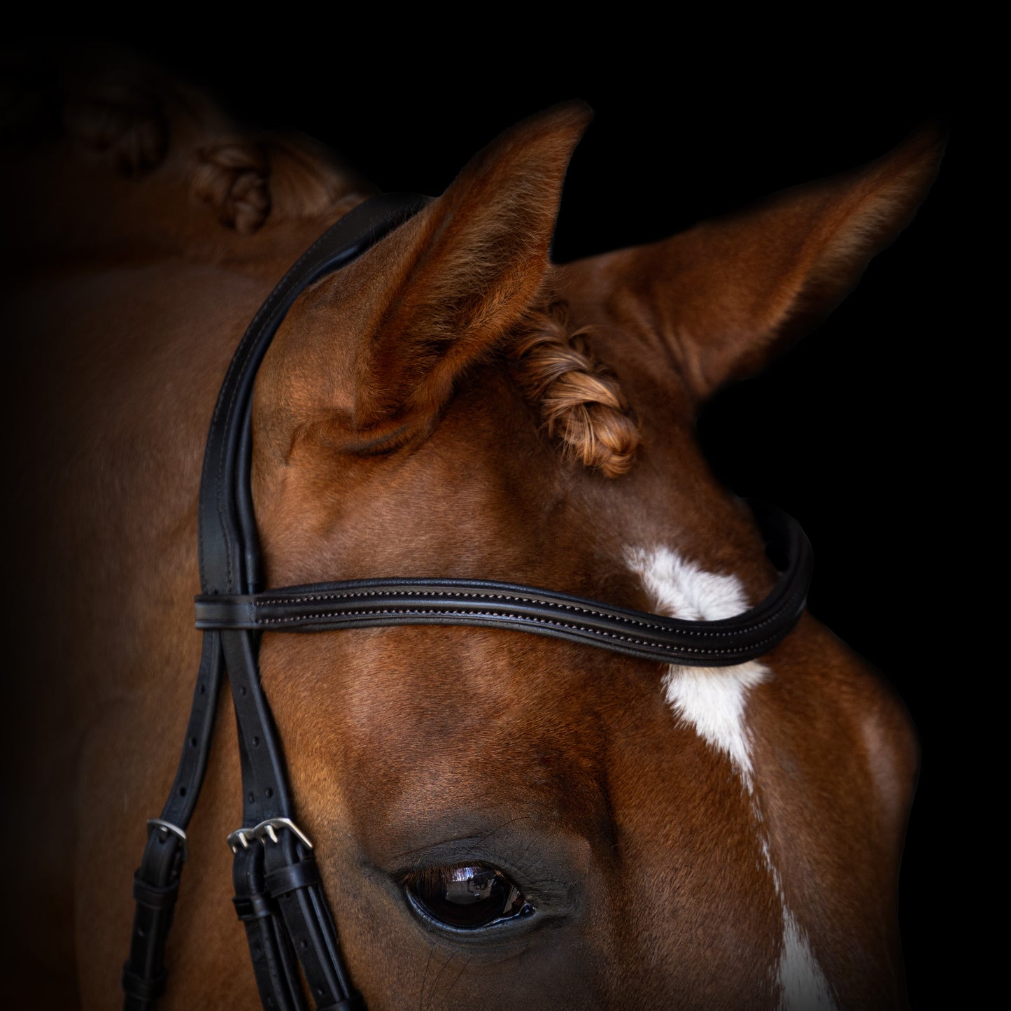 Browband - NOBLE - Raised Wave - Brown