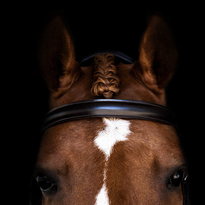 Browband - ICONIC - Show Raised - Brown
