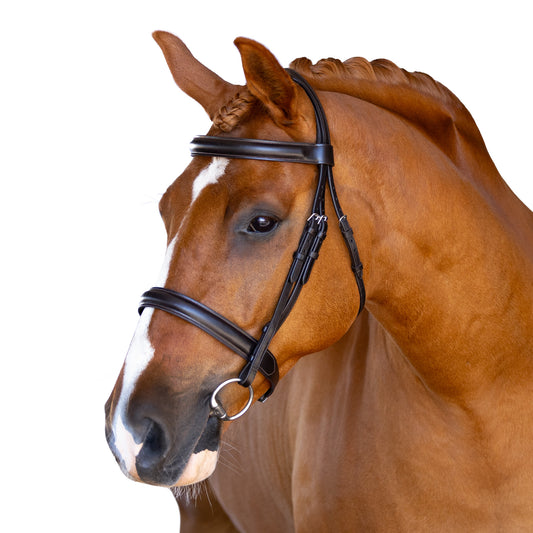 Snaffle Show Bridle - Nelra
