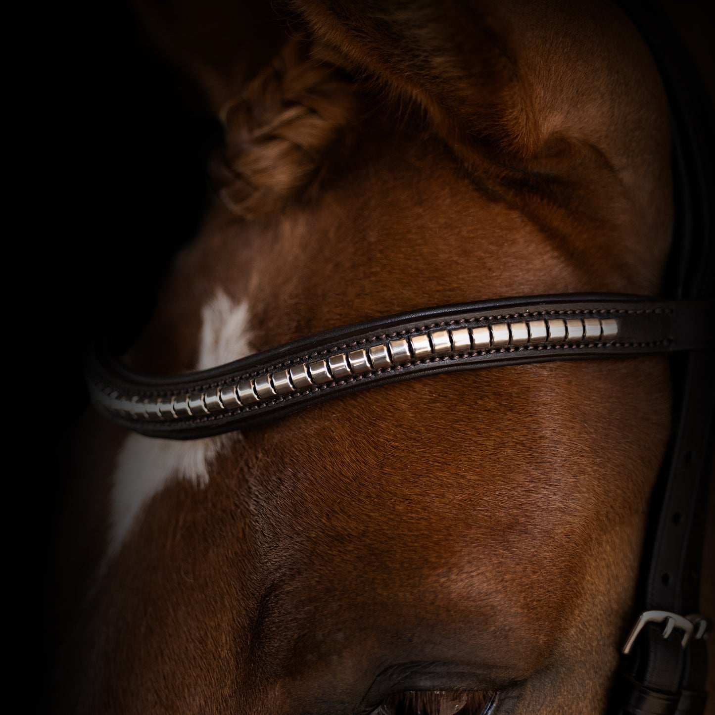 Browband - HERITAGE - SS Clincher - Brown
