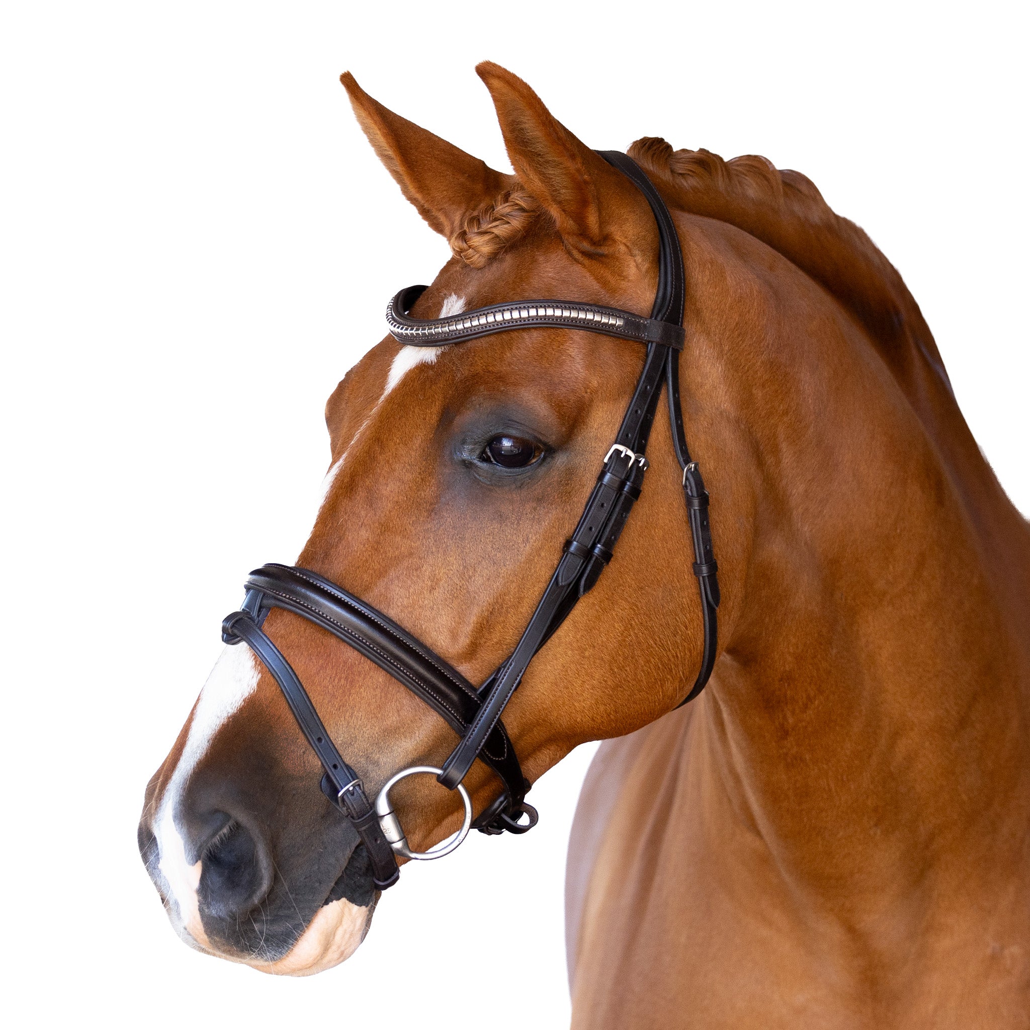 Snaffle Bridle - Talra – Ava Equestrian