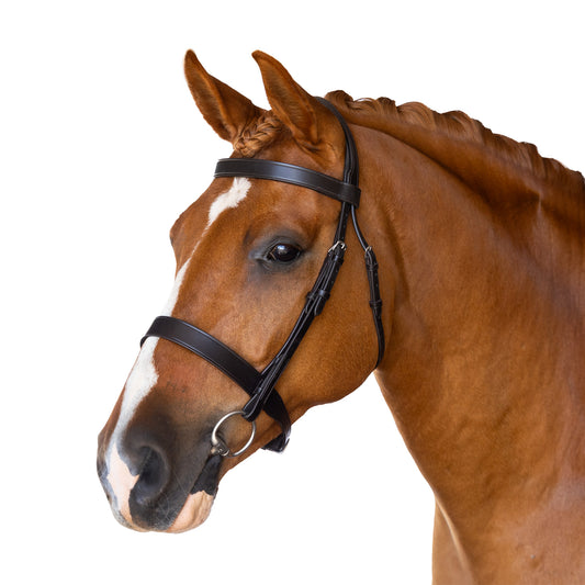 Snaffle Show Bridle - Solra