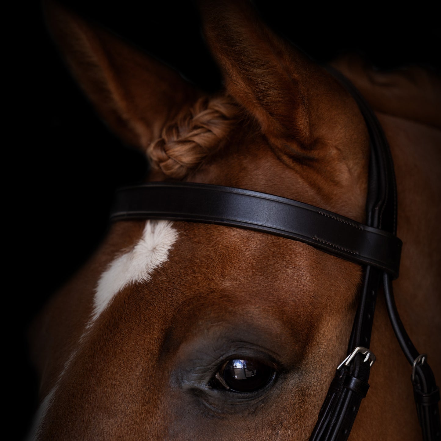 Browband - ICONIC - Show Flat - Brown