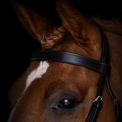 Browband - ICONIC - Show Flat - Brown