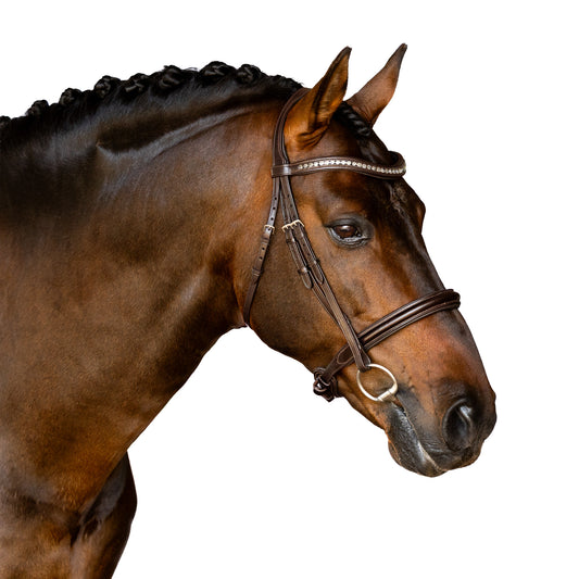 Snaffle Bridle - Varra