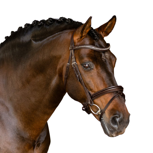 Snaffle Bridle - Varra
