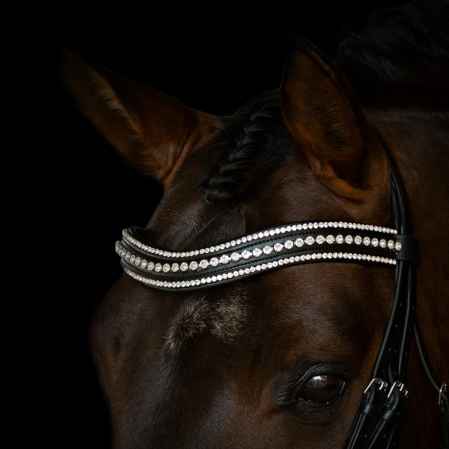 Browband - DAZZLE - Clear Crystal - Black