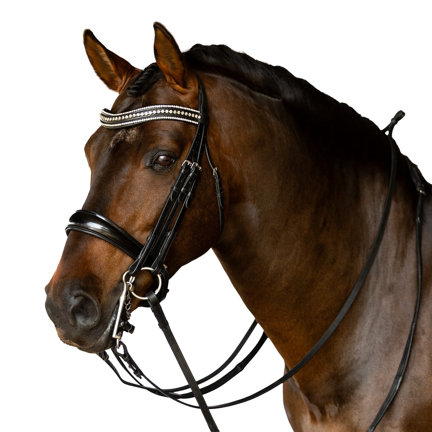 Double Bridle - Orlan