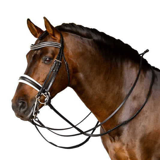 Double Bridle - Bralen