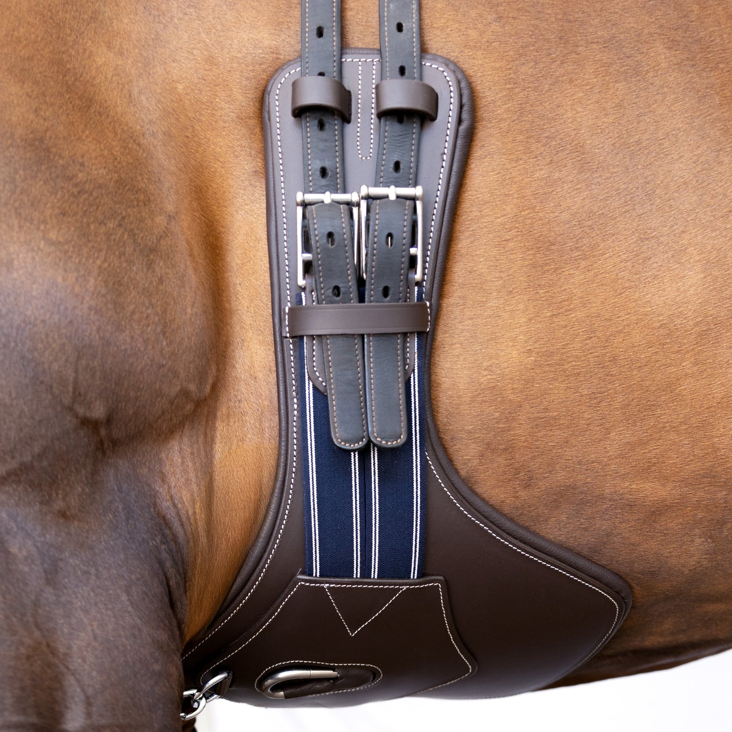 Girth - Jumping Short Stud